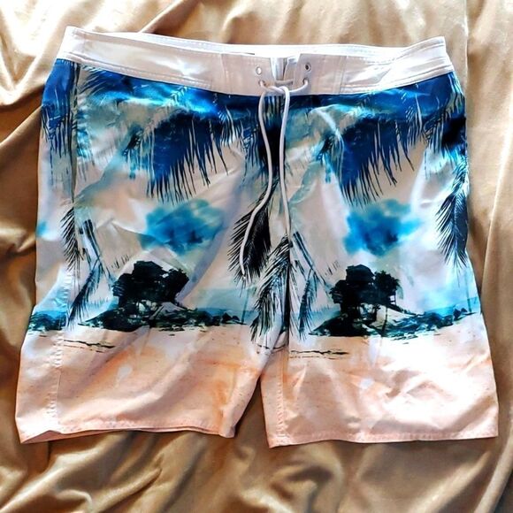 🏄🏊🚣American Eagle board shorts - Picture 1 of 3